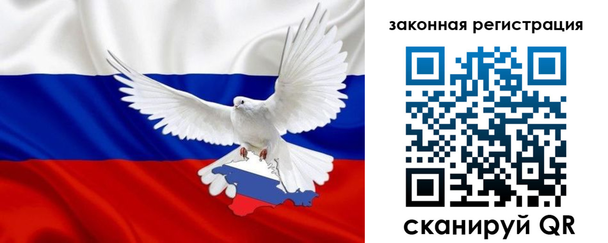 временная регистрация гарантия в Рошале